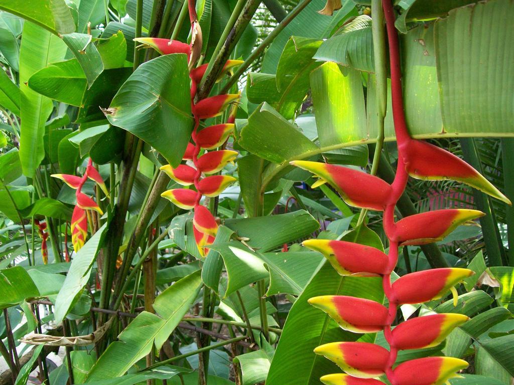 Posada El Jardin Ticul エクステリア 写真