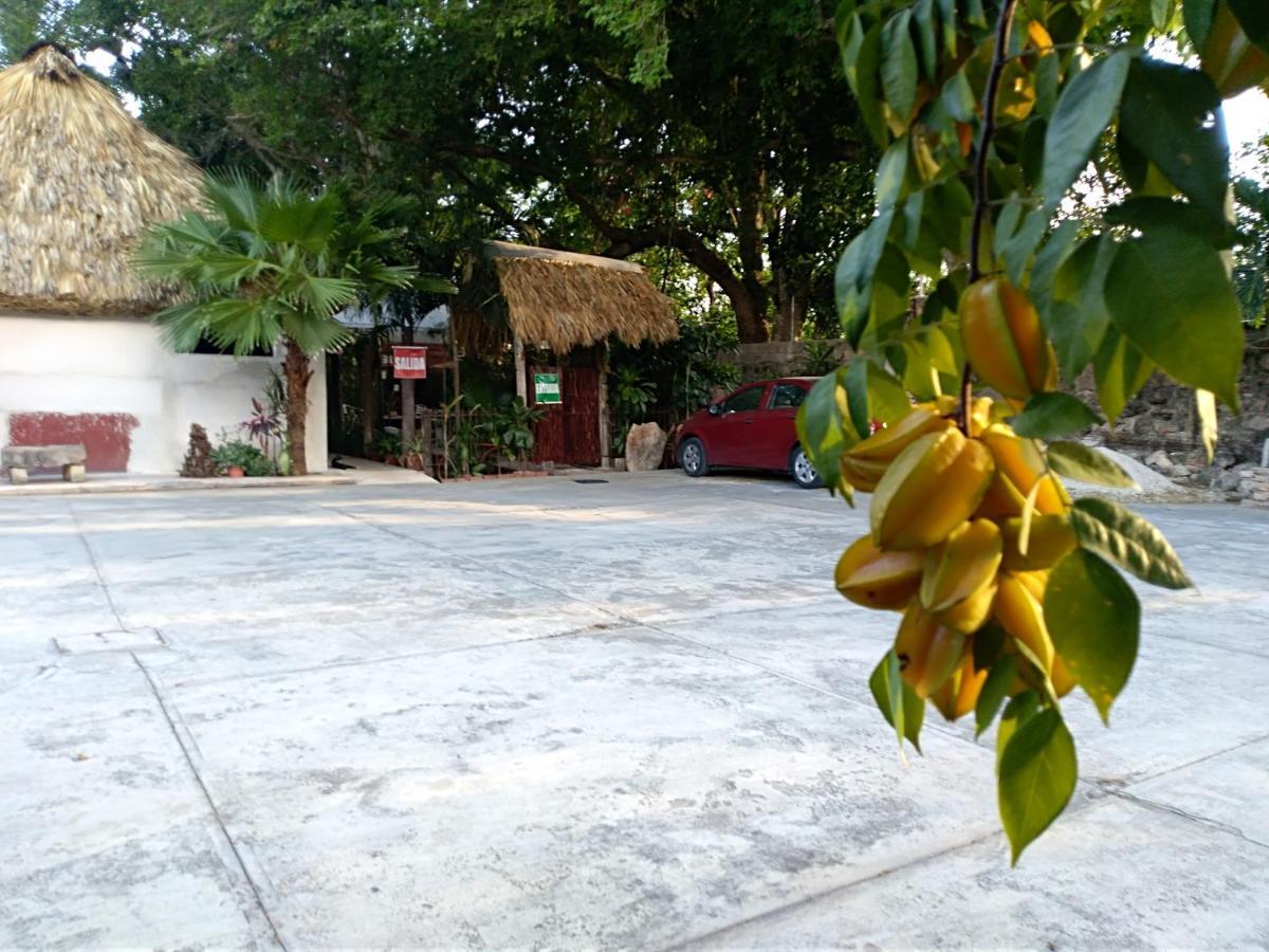 Posada El Jardin Ticul エクステリア 写真