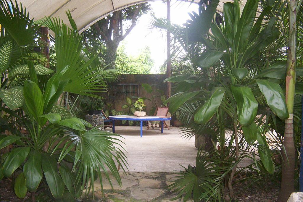 Posada El Jardin Ticul エクステリア 写真
