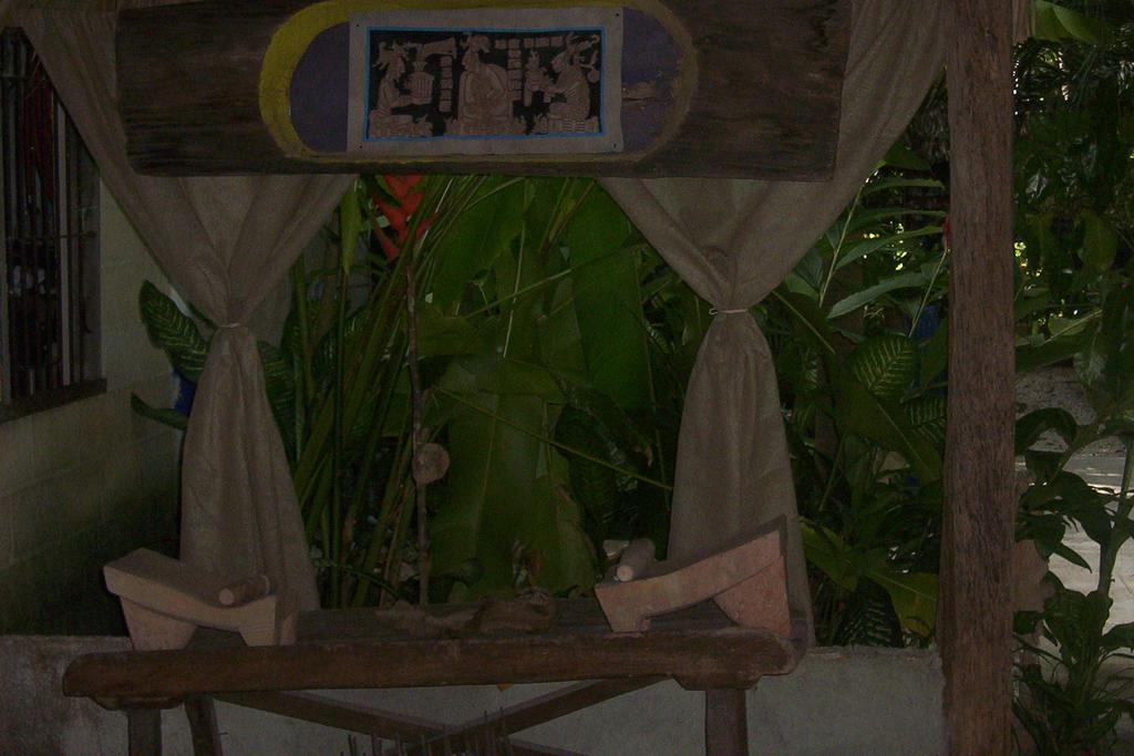 Posada El Jardin Ticul エクステリア 写真