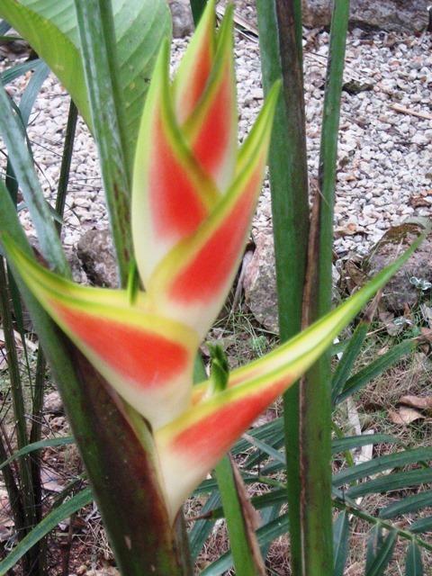 Posada El Jardin Ticul エクステリア 写真