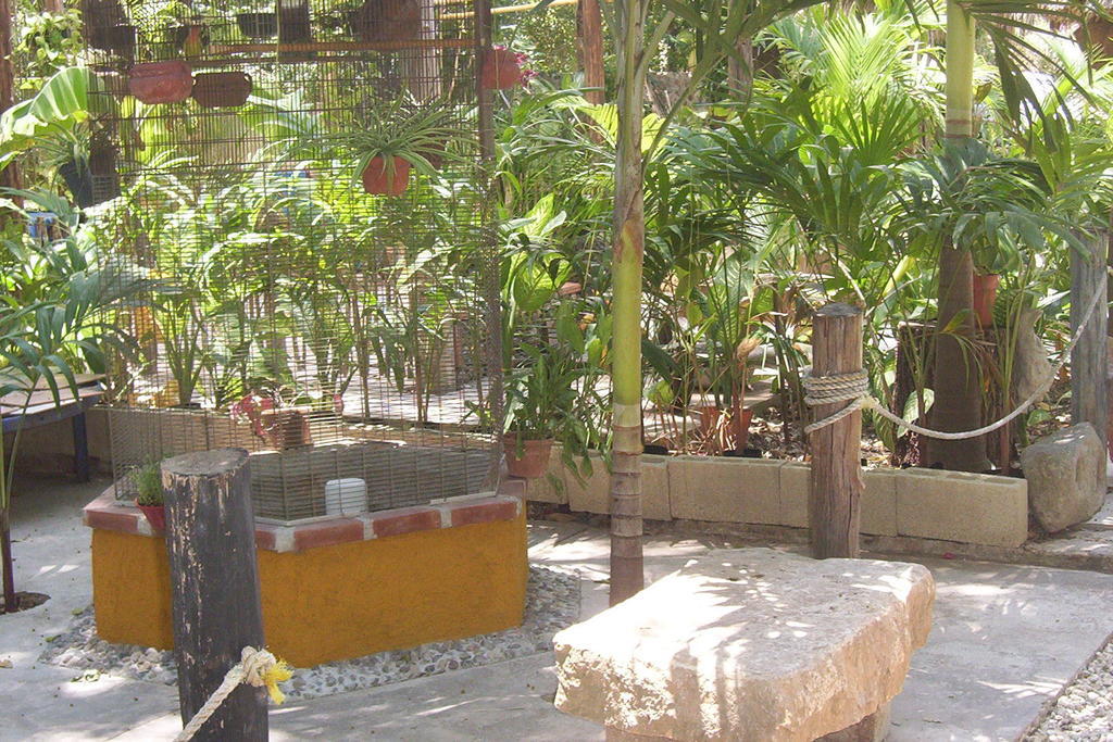 Posada El Jardin Ticul エクステリア 写真