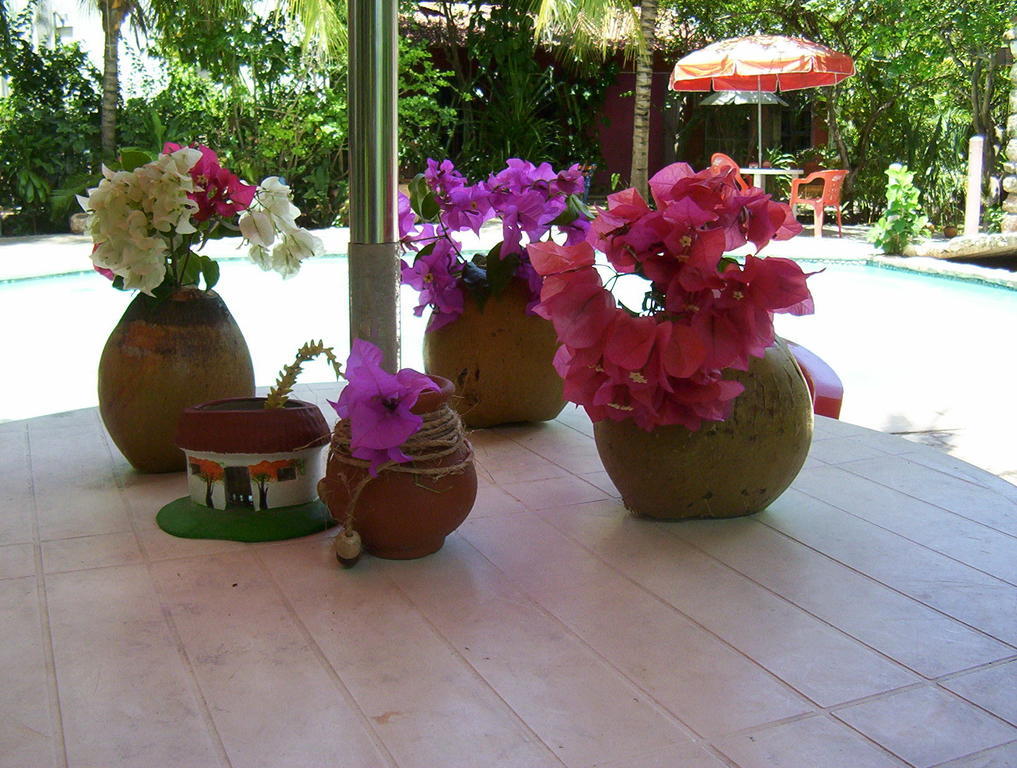 Posada El Jardin Ticul エクステリア 写真